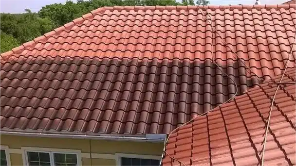 roof cleaning company in tampa fl